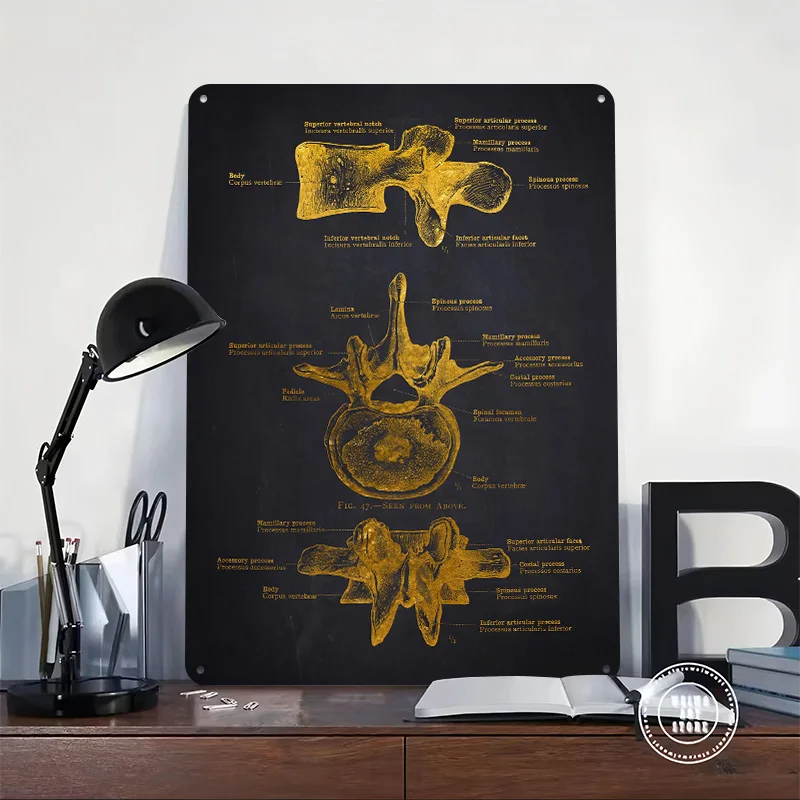 Human Vertebra Anatomy Metal Poster Custom Wall Art Retro Vintage Tinplate Signs for Man Cave Bedroom Decorations Bathroom Decor