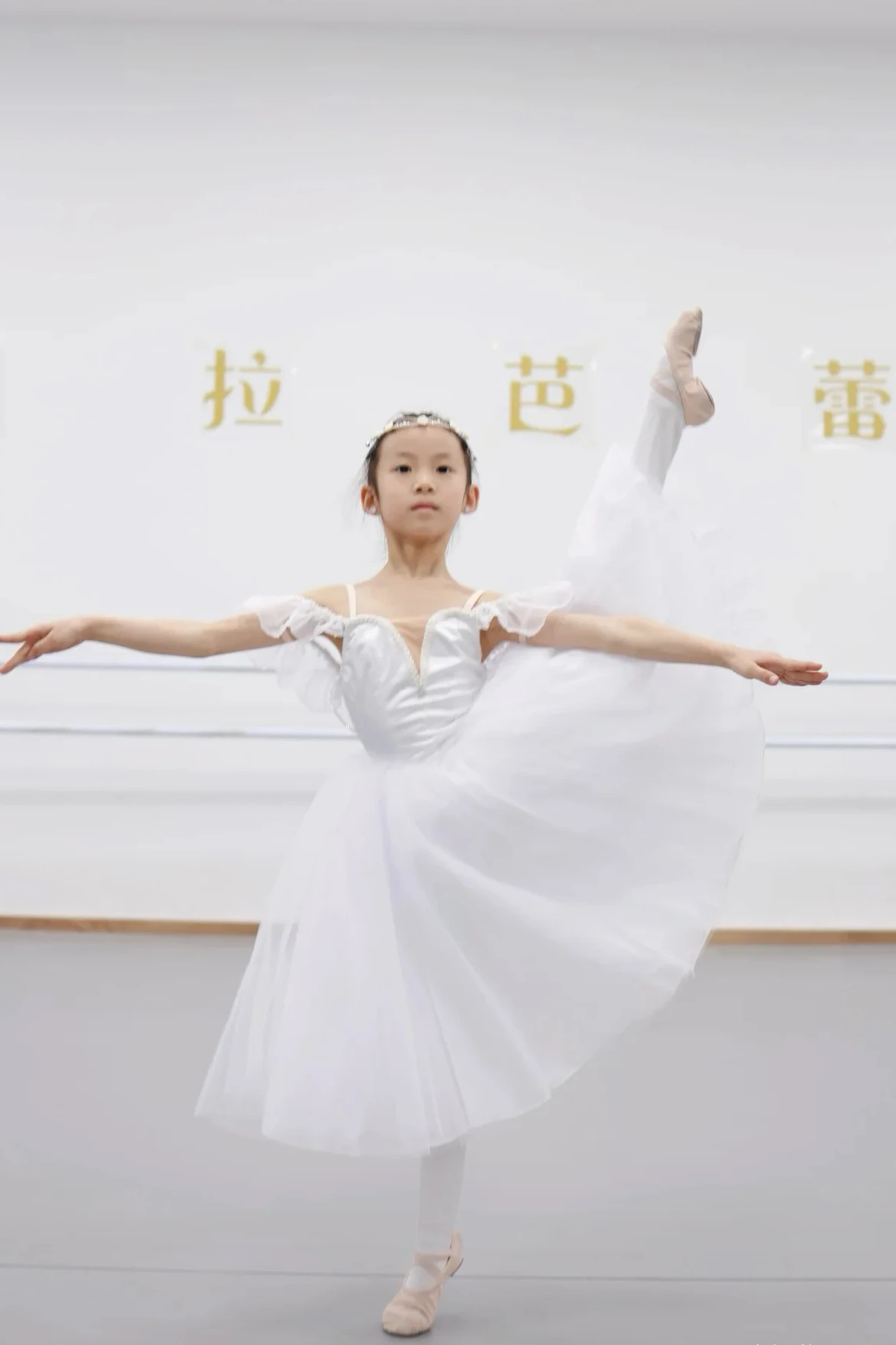 Robe de Ballet longue blanche Tutu romantique, vêtements de Ballet Ponkirt de Performance professionnelle pour femmes, Costume de danse moderne