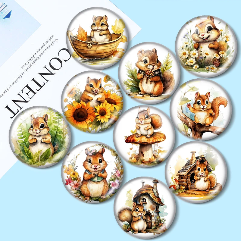 السمين السنجاب 12/18/20/25 مللي متر الزجاج كابوشون قلادة سوار قلادة خواتم للمجوهرات التجريبي أقراط الظهر صنع النتائج