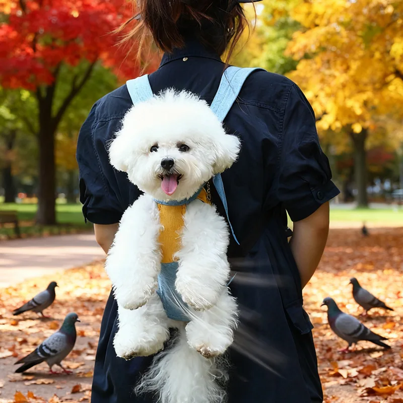 Thumbnail 3 - #5 Budget Pet Strollers for Smart Shoppers