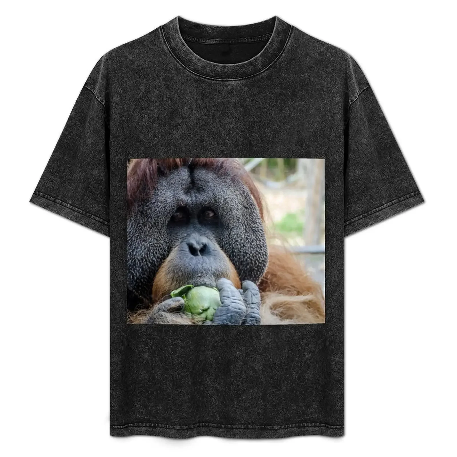 

Orangutan T-Shirt man t shirt luxury t shirts for graphic tees shirts for men shirts for men casual T-Shirt