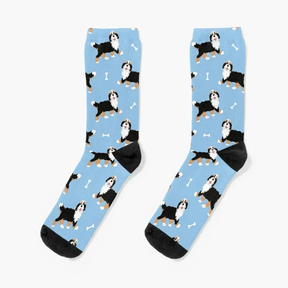 Cute Tri Color Bernedoodle - Baby Blue Background Socks retro sheer Toe sports gifts Women's Socks Men's