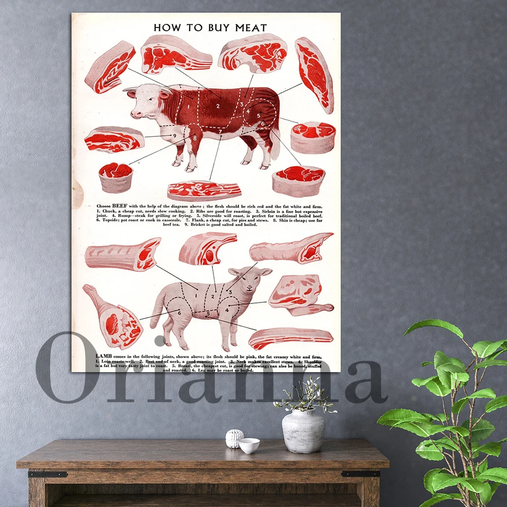 How To By Meat Beef, Lamb  Beginner'S Guide To Beef, Lamb Cuts Poster Home Wall Art Gift Print Canvas Painting