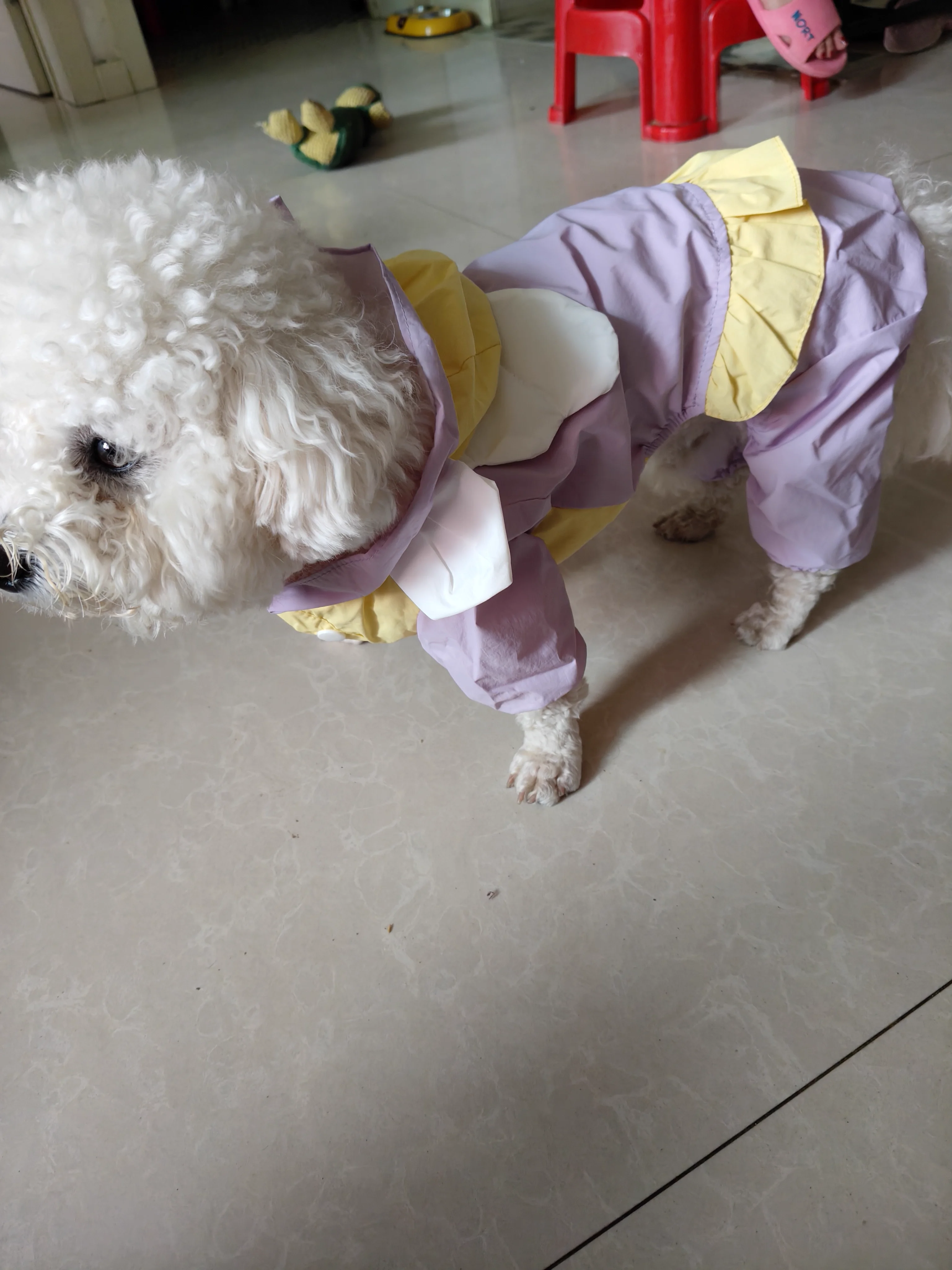 

2025 Summer Dog Raincoats Small and Medium-sized Dog Four-legged Waterproof Clothes Teddy Out Rain Poncho Pet Supplies