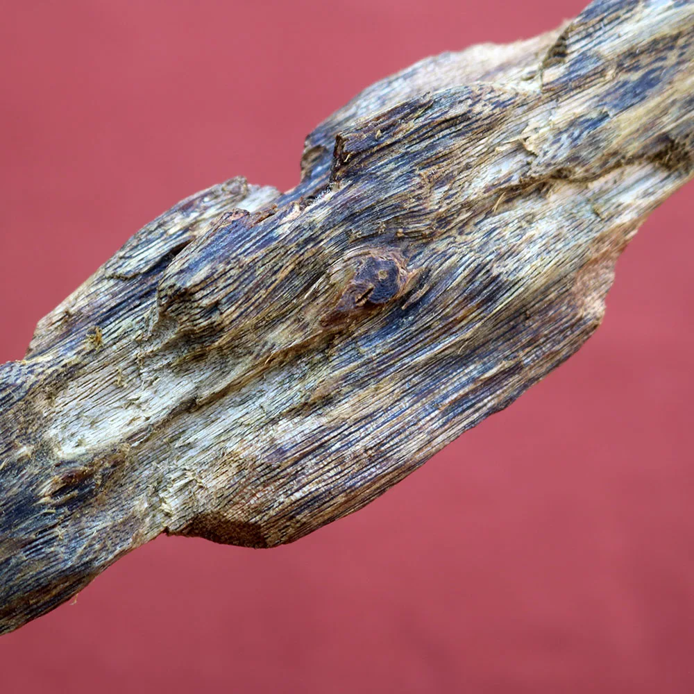 Authentic Kynam Oud Wood 94g 37CM Home Decor Agarwood Qi Nan Kyara Jin-Koh Self-Grown Nectar & Fruit Scent Room