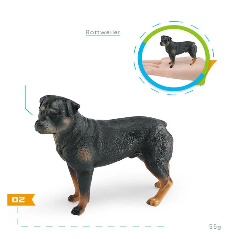 Labrador Rottweiler Puppy Dog Figurine Great Dane Shepherd Dog Dogs Animals Model Educational Realistic Simulation Dog Statue