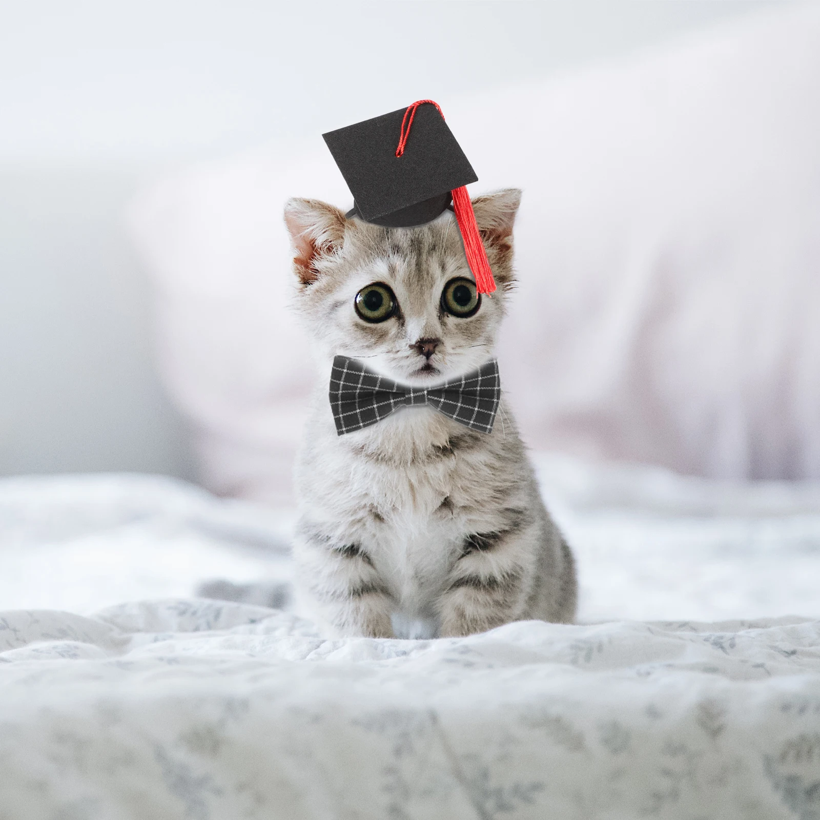

1 set 1 Set Pet Cap Hair Band Tassel Puppy Kitten Graduation Hat Costume Dog Cat Party Photo Prop Graduation Accessories For Pet