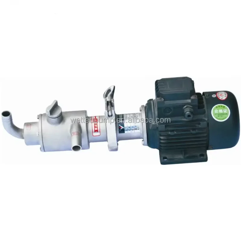 Mini Micro Mono Mud Progressive Cavity Pump Sludge Eccentric Helical Single Screw Pump
