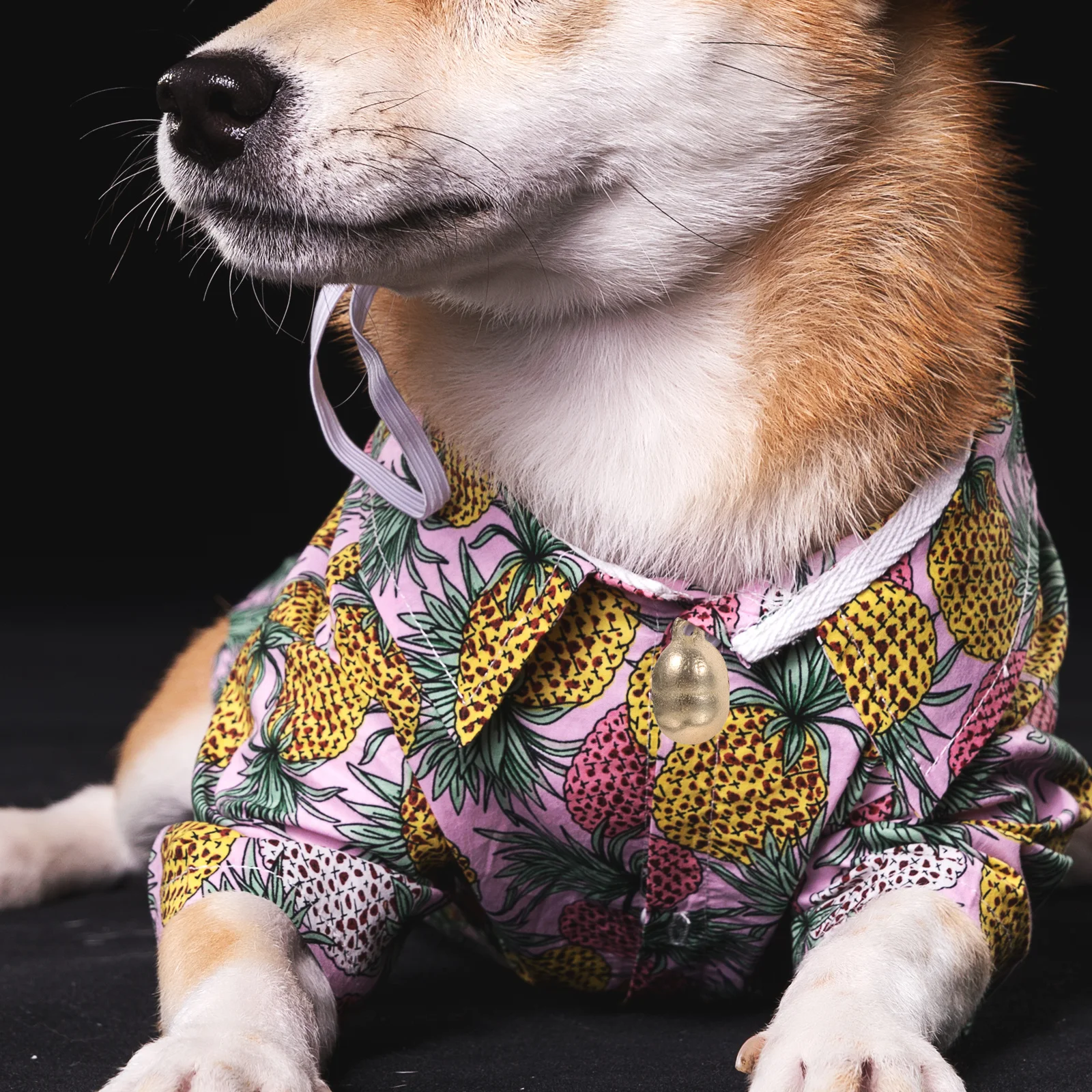 

10Pcs Pet Collar Bells Copper Material Bright Color Long-Lasting Use for Dog Cat Collar Hanging Decoration Holiday Party Decor