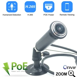 P6slite 5MP 3MP1080P 2MP Mini Ip Camera H.265 Plug and Play Fisheye 180Degree Micro POE Bullet IP Camera Audio P2P PC&Phone