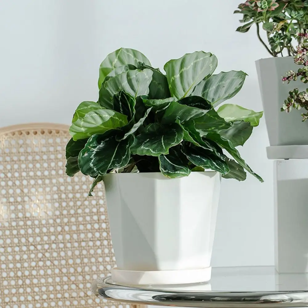 

3 Set Home Decoration Round Indoor Flowerpots Nordic Thickened Plant Pot Resin with Tray Gardening Pots Indoor