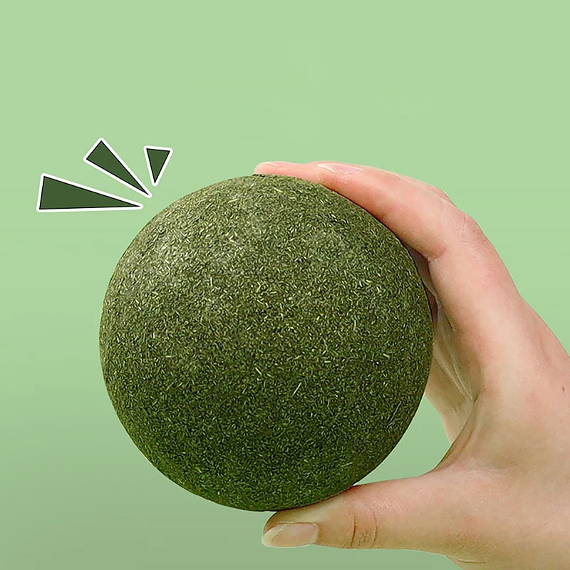 Super Large Catnip Ball 10cm Cat Grass Self-Hi Relieving Stuffy Insect Gall Fruit Giant Pet Bite Molar Wholesale Pet Cat Toy