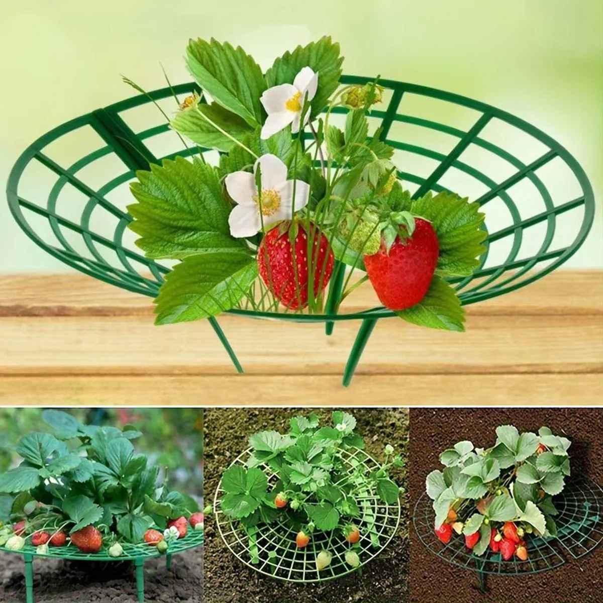 Strawberry Plant Support Stand with Legs, Plastic Round Growing Rack to Keep Berries Clean & Prevent Rot