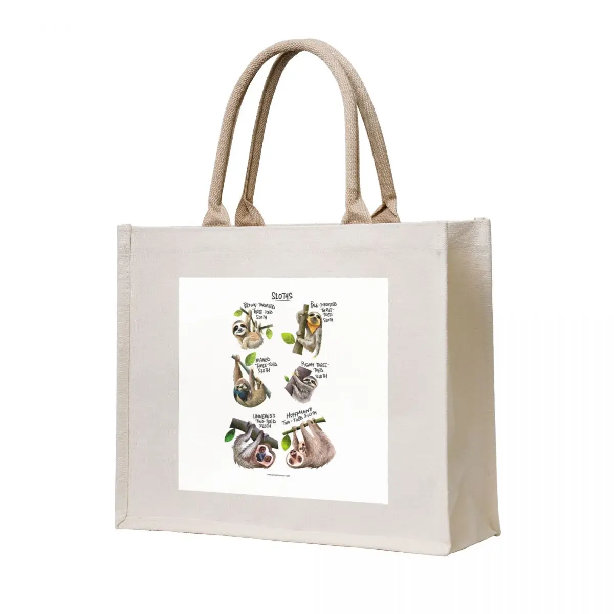 

Sloth Species Tote Bag canvas bags sac pour femme custom bags