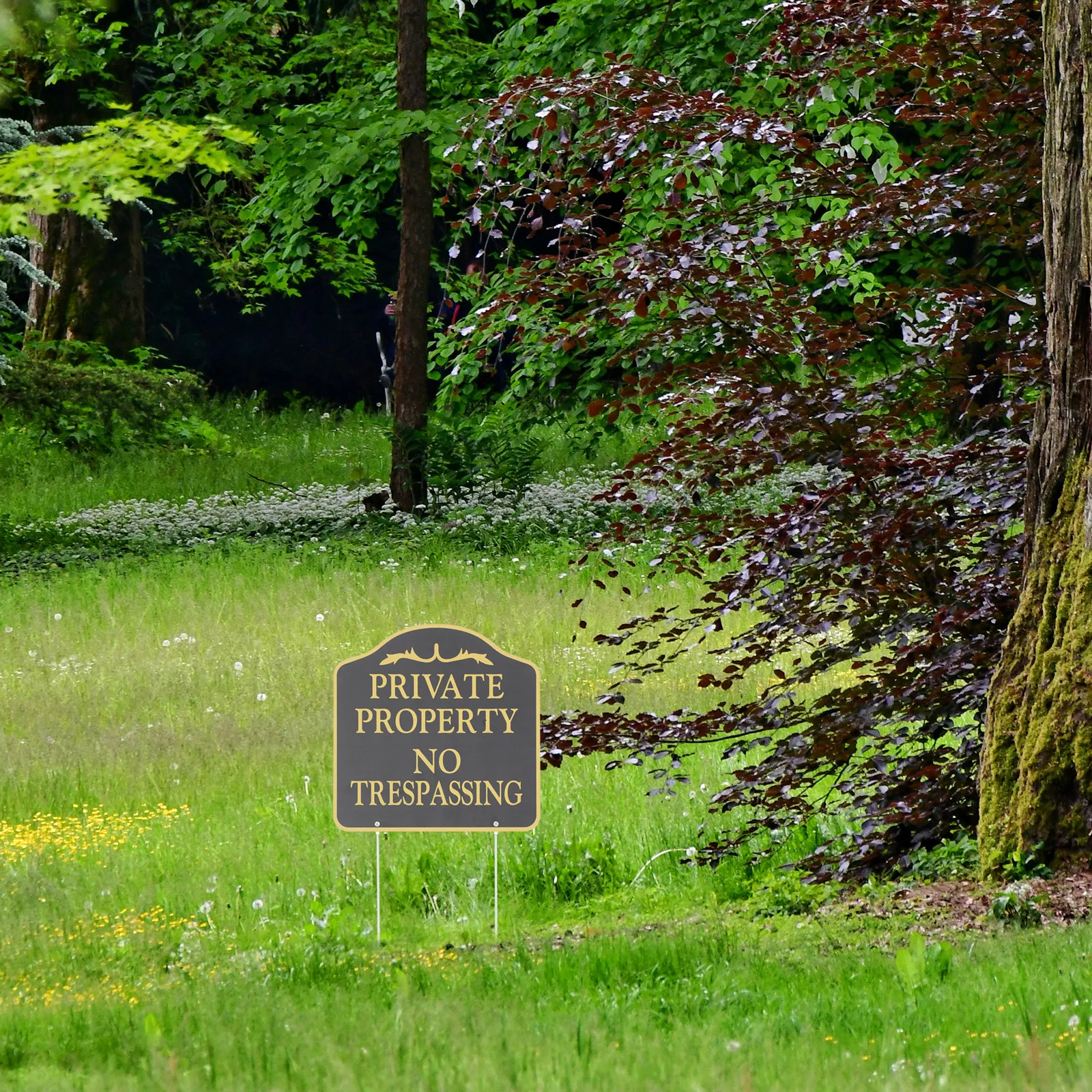 Private Property No Trespassing Sign Black Metal Weatherproof Yard Security Stake Outdoor Garden House Pasture Warning Prevents