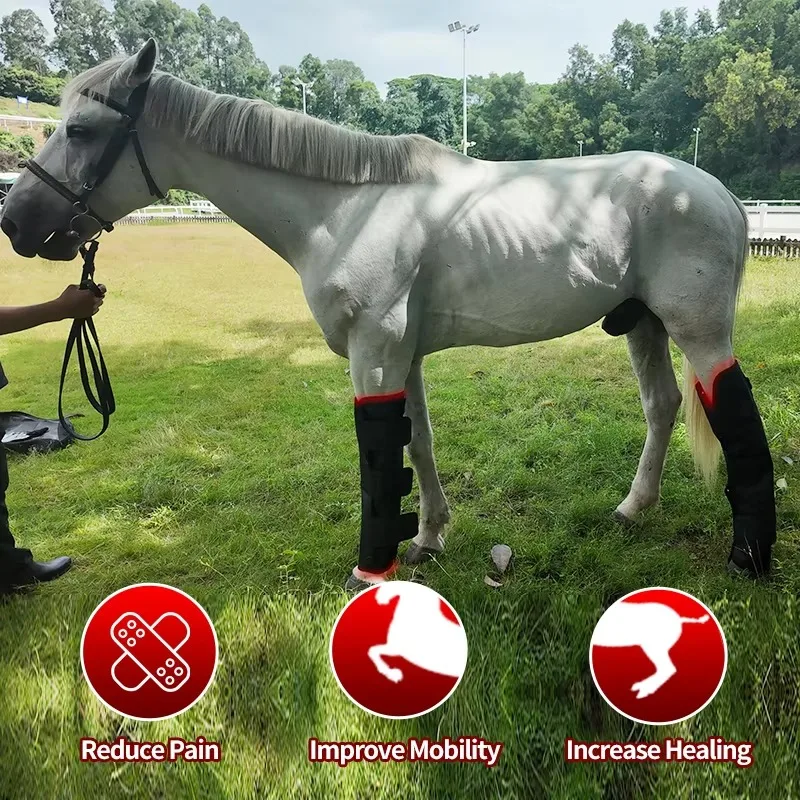 Horses Head Health Care 660nm 850nm Red Therapy Device Near Infrared Red Light Therapy Horse Blanket Animal Care and Supplies
