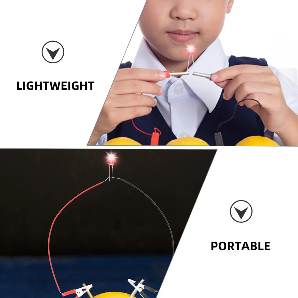 Fruit Experiment Kit 2 Sets Science Lab Potato Metal Student Physics Toys DIY Projects Educational Gifts