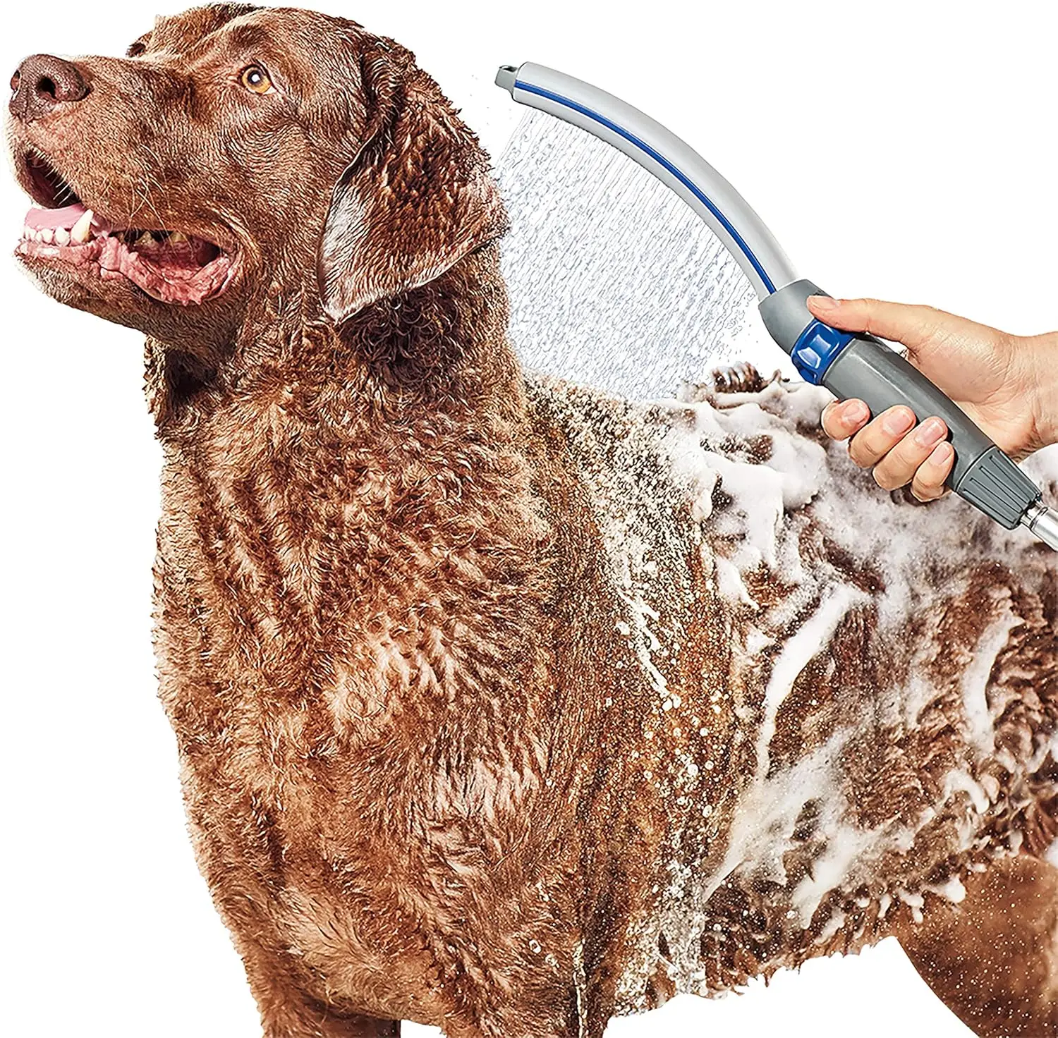 

Pet Shower Wand with 8-Foot Hose for Easy Indoor and Outdoor Dog Bathing, Blue/Grey