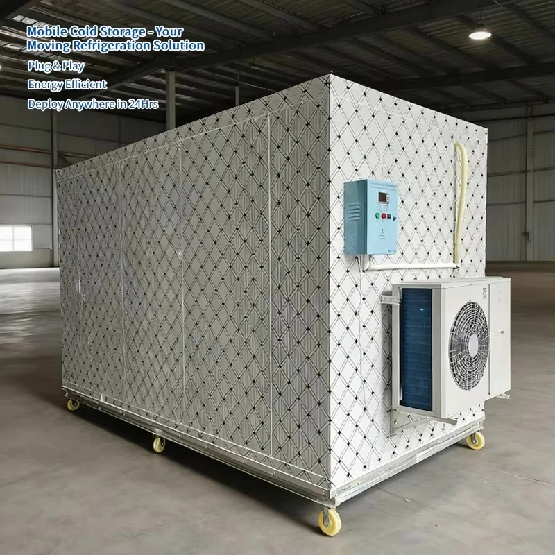 Energy-efficient Solar Industrial Mini Quick-Freezers with Engine & Gear Complete Cold Storage Equipment