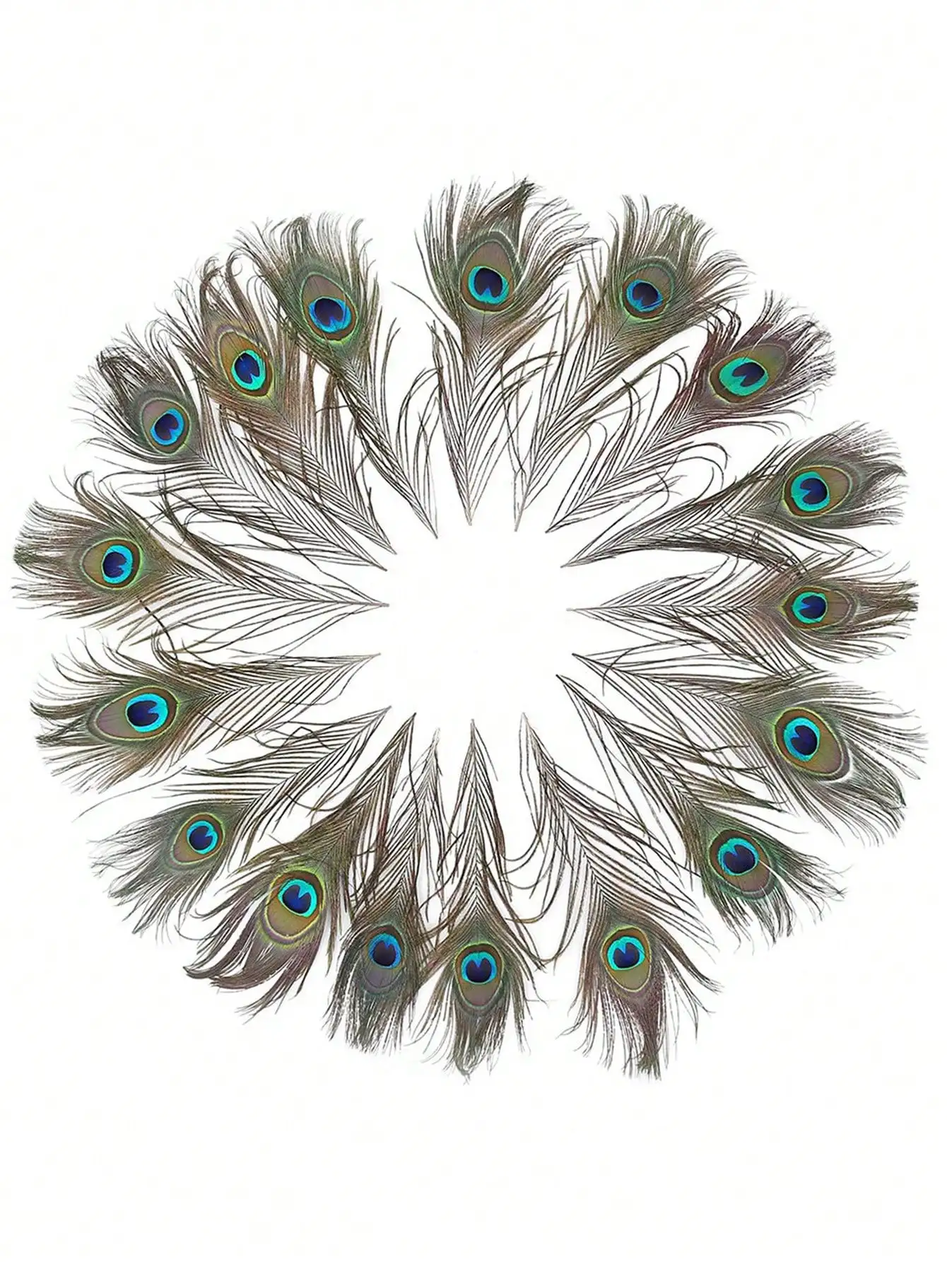 4 PCS Real Natural Peacock Eye Feathers 10-12 inch for DIY Craft, Wedding and Holiday Decorations