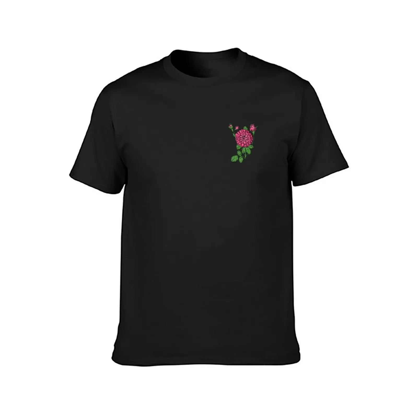 Rosa rosetta rosa rosa fioritura molto piena 40 + petali In 3 + righe t-shirt funnys abbigliamento vintage magliette divertenti da uomo