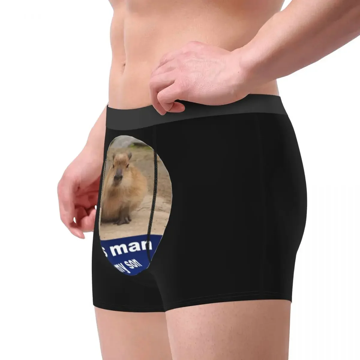 Capybara Man Underwear Funny Animal Boxer Briefs Shorts Panties Humor Mid Waist Underpants for Male S-XXL