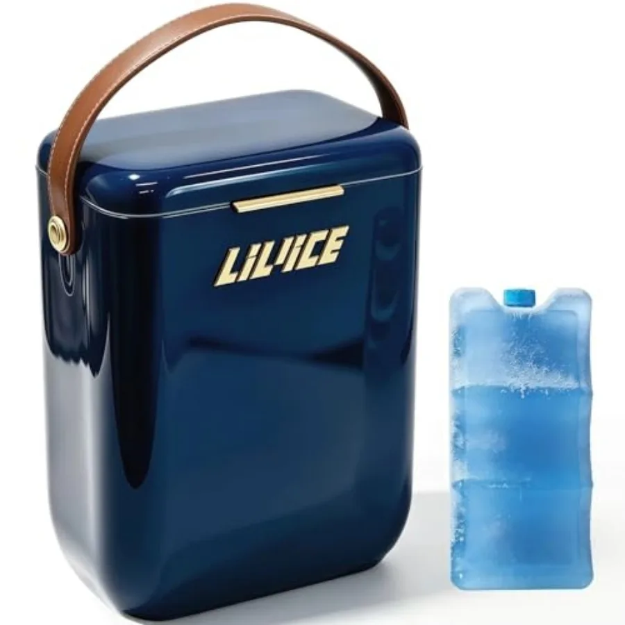 

12QT Insulated Cooler with Ice Block, Portable Hard Cooler Small Ice Chest for Camping Picnic, 4 Wine Bottle Carrier Great Gift