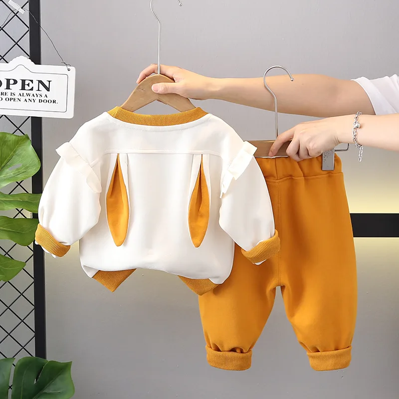 New Autumn Baby Clothes Set Children Girls Long Sleeved T-Shirt Pants 2Pcs/Sets Toddler Fashion Casual Costume Kids Tracksuits