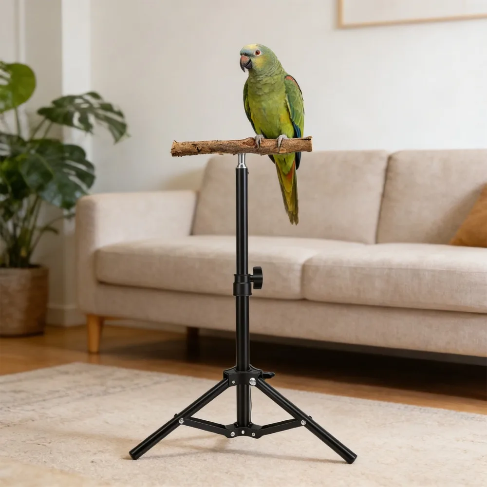 #87 Bird Perch Stands Comparison Guide