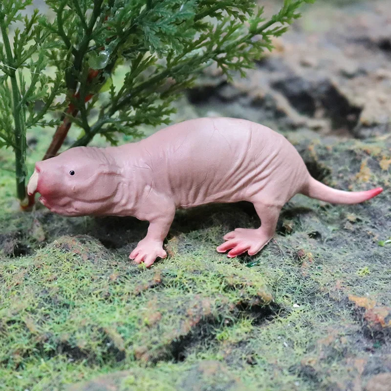 Solid Simulation Naked Mole Rat Wild Animal Model Rat Jungle Thorn Group Mole Rat Model Toy Sand Table Ornaments