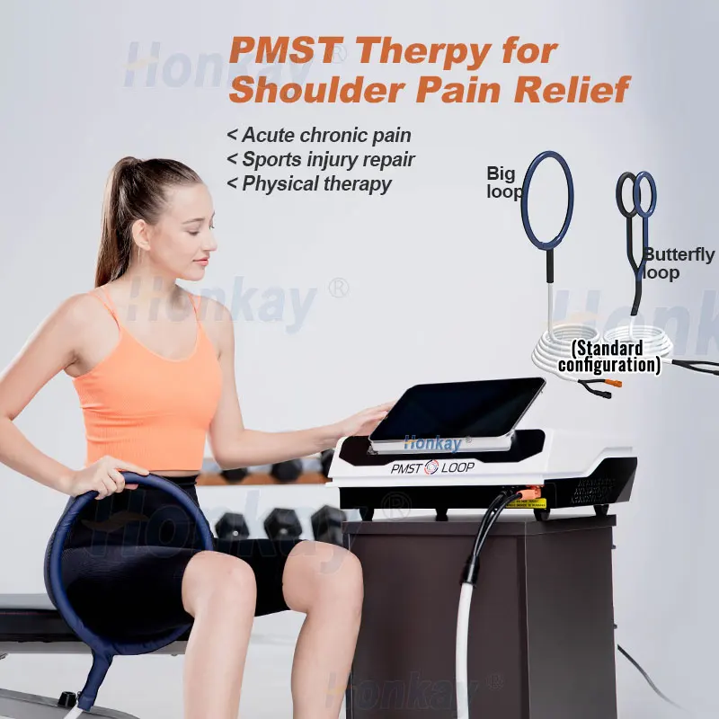 New Upgrade Pemf Magnetic Therapy for Human and Animal Pain Relief Pmst Loop Physio Magneto Muscle Relax Physiotherapy Machine