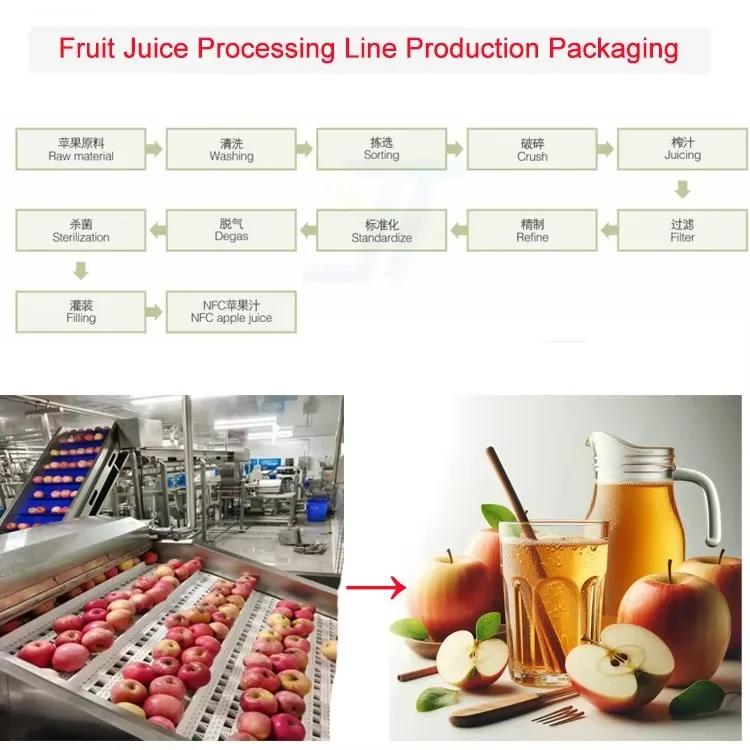 Apple Juice Production Line With Fruit Pre Treatment System Including Sorting Peeling Cleaning And Crushing Function