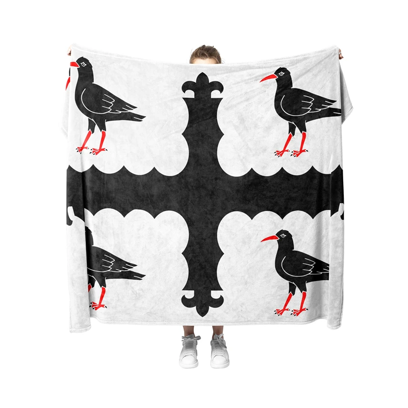 Aertemisi Flintshire Wales Pet Blanket for Small Medium Large Dog Cat Puppy Kitten Couch Sofa Bed