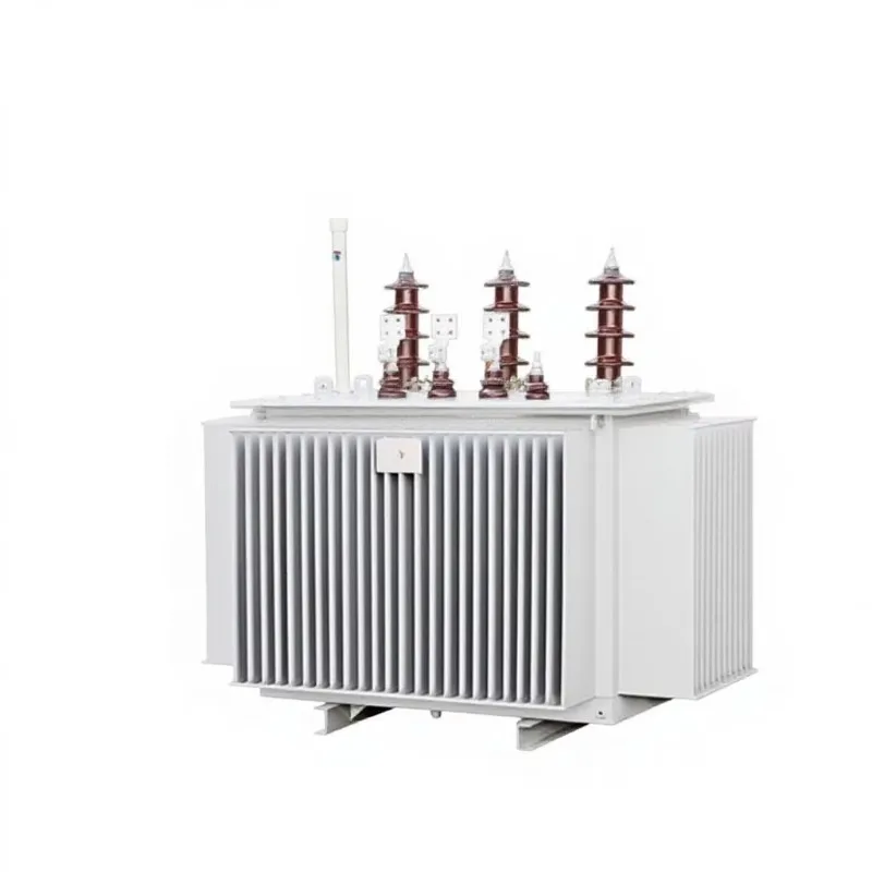 Wanbo-137 High Voltage 160kVA Three-Phase Oil-Immersed Power Transformer MV/HV 50Hz 10KV S13 Model CE/ISO9001 for 400V