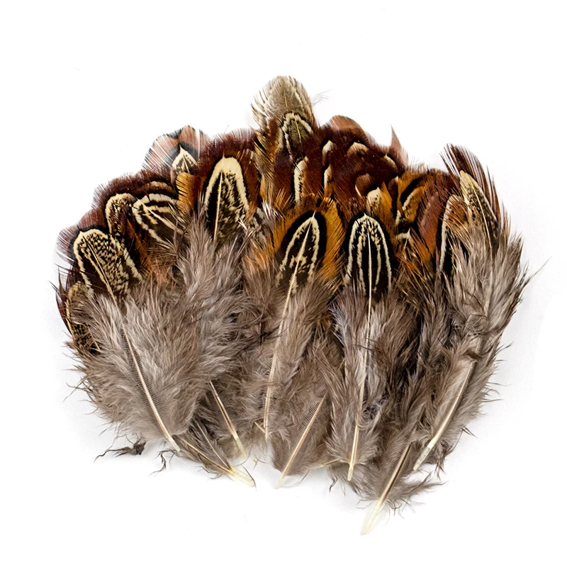 50Pcs Natural Pheasant Feathers Decoration DIY Carnival Jewelry Accessory Mixing Small Chicken peacock Plumes For Crafts 3-8cm