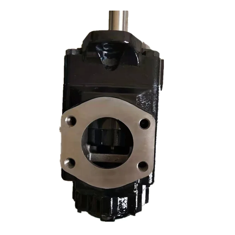 DENISON Vane pump T7DDS E38 E31 1R01 A1M0 Hydraulic Pumps T7DD / T7DDS for variable speed drives