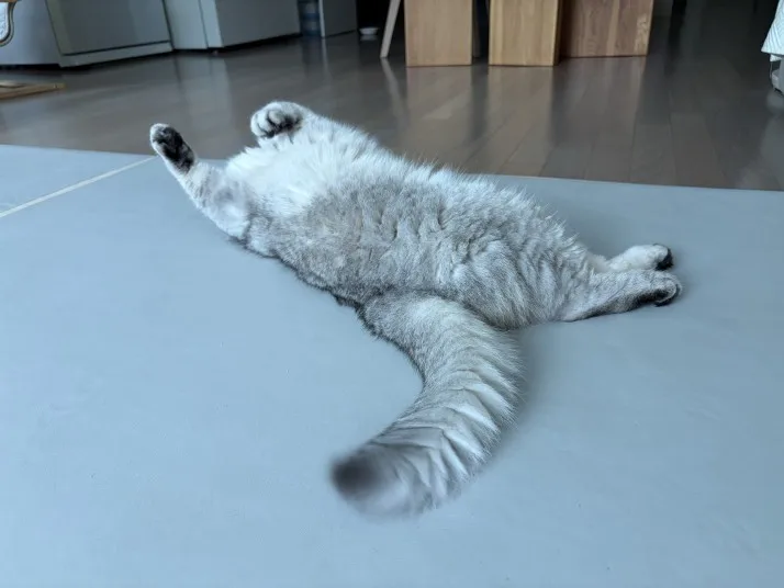 구매후기