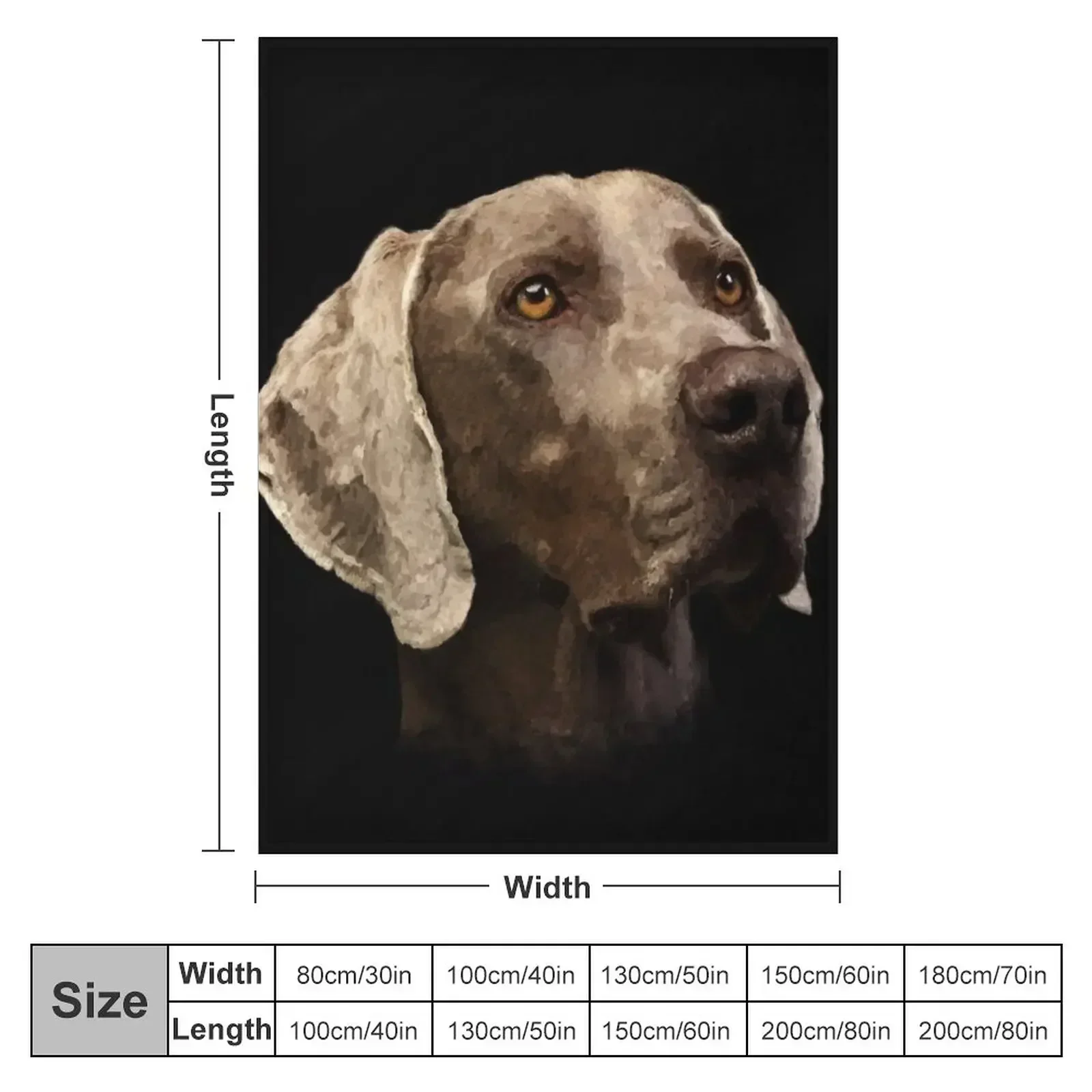 Weimaraner Portrait Throw Blanket Multi-Purpose Beautifuls Blankets