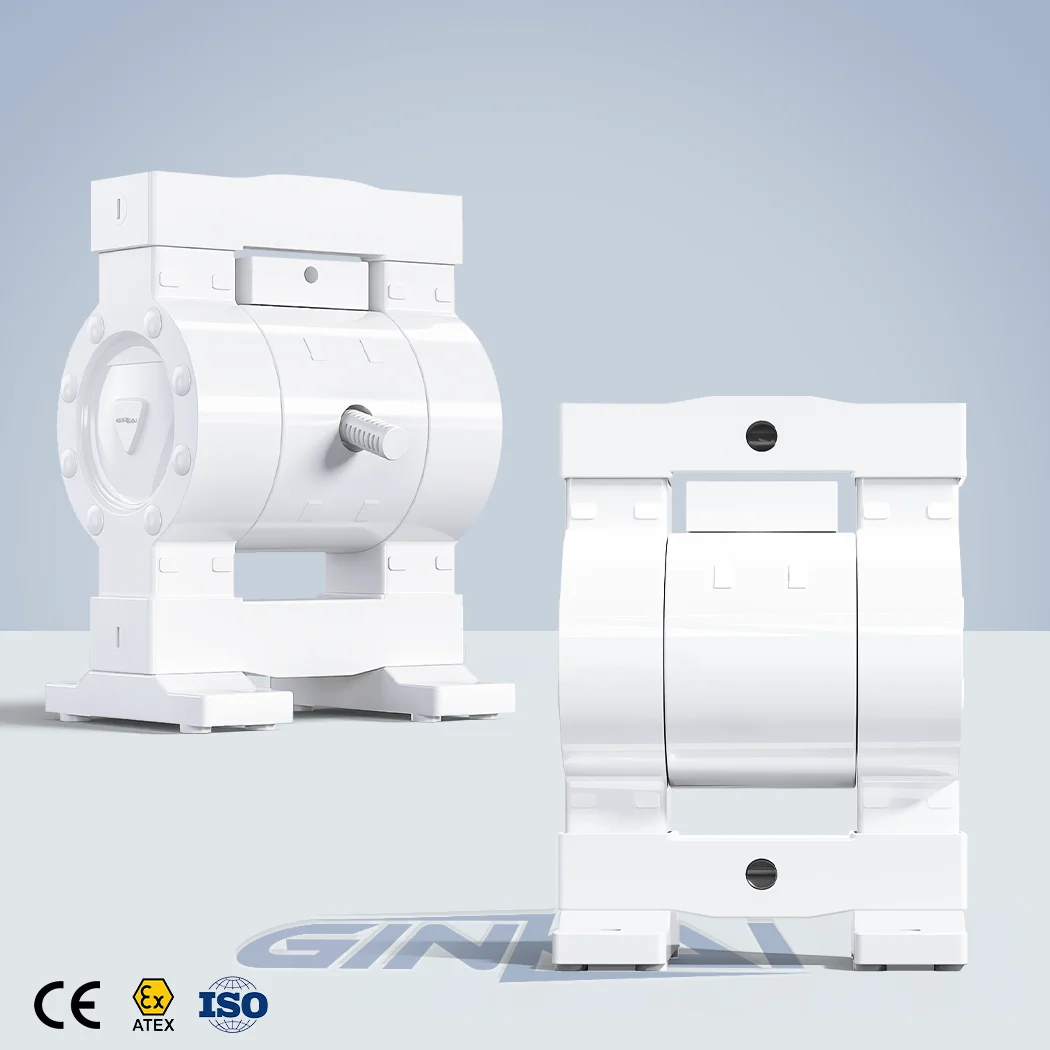 1/2 Inch Full PTFE Air Operated Double Diaphragm Pump Laboratory Hazardous Chemical Safe Transfer Pump