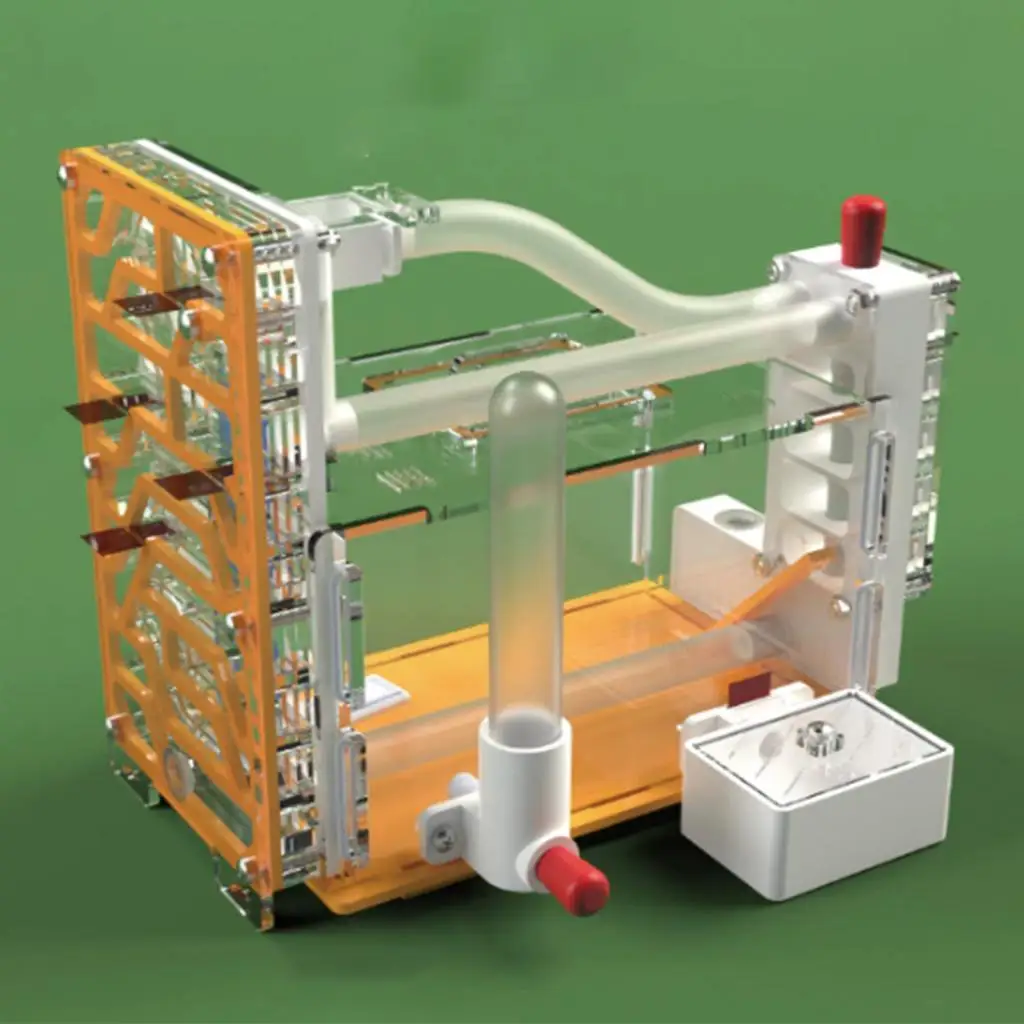 kit-scientifico-per-allevamento-di-formiche-set-educativo-per-l'osservazione-delle-formiche-habitat-per-bambini