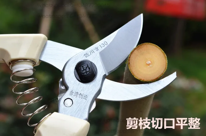 130 Horticultural Shears Imported From Taiwan, Pruning , Fruit Tree , Pruning s, Bonsai , Thick Shears