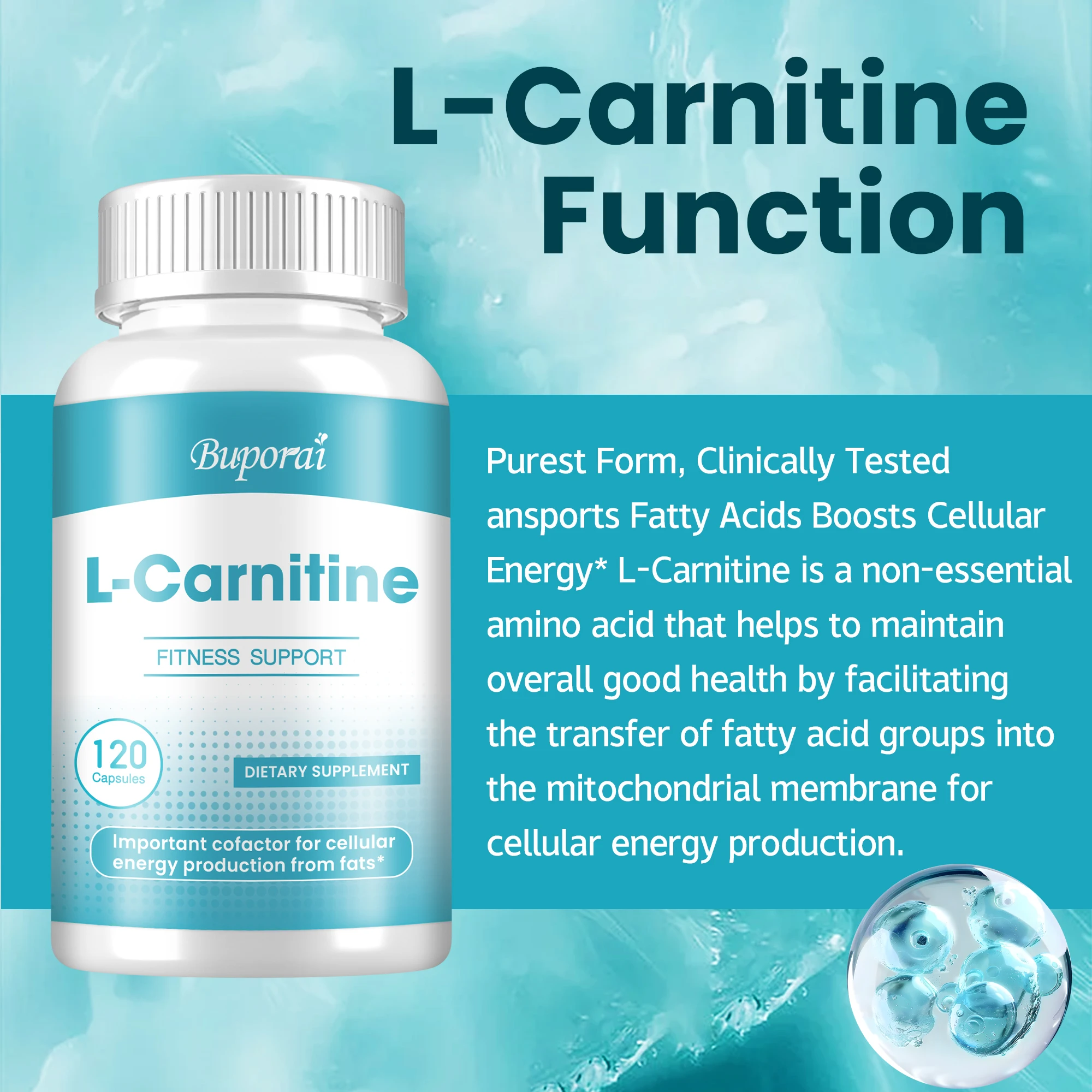 L-Carnitine - إدارة الوزن، التمثيل الغذائي، يحسن الذاكرة والتركيز، الوظيفة المعرفية، صحة القلب والأوعية الدموية #3