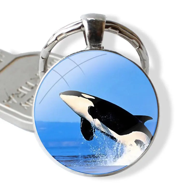 Glass Metal Pendant Key Chain Classic Men Women Key Ring Accessories Jewelry Gifts Killer Whale Orca