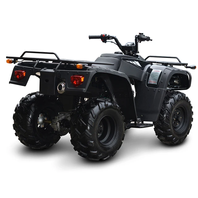 Four Wheel 250cc Motorcycle Adult ATV 2 4 125 150 200 250CC Factory Price Beach Buggy Mountain Bike 4 4 400 500CC AliExpress 201355758