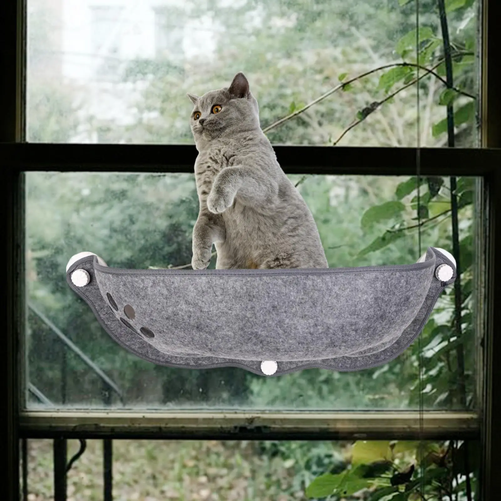 

Cat Hammock Window Bed Kitty Washable Cushion Pad Space Saving Seat