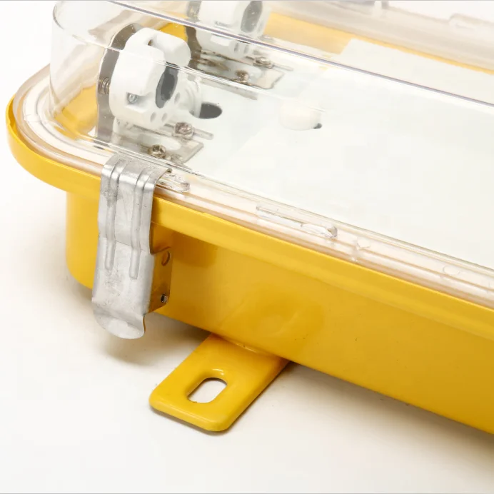 CFY21-2 2*20W Marine Boat Explosion Proof IP66 Fluorescent Explosion-Proof Pendant Light For Chemical Industry