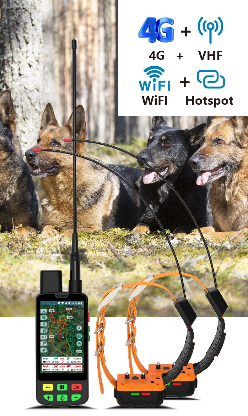 

Оригинальный новый ошейник для собак α-коэффективный 100, с комбинированным металлом TT15