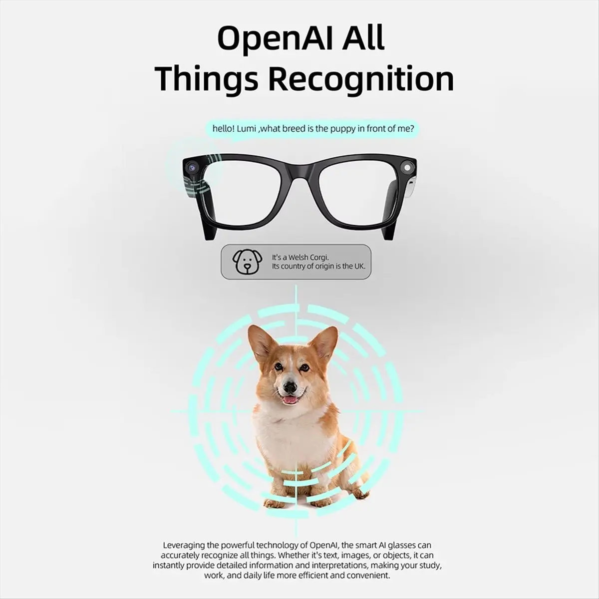 

goodDT AI Glasses 500W HD Anti-Shake Camera Glasses Ai Translation Calls,Video Recording Photo Taking Bluetooth Headset Glass,A