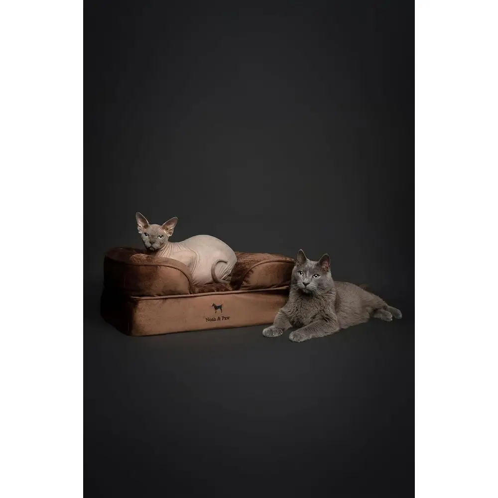 Small Dog Bed, 20x15x8 Inch, Orthopedic Eggshell Memory Foam with Cooling Gel, Water Resistant Washable Cover (Velvet Collection