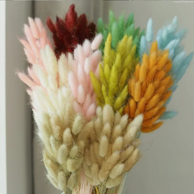 60szt Nature Rabbit Tail Grass Dried Flower Bouquet Dog Tail Grass Dried Flower Immortal Flower Small Bouquet DIY Decoration